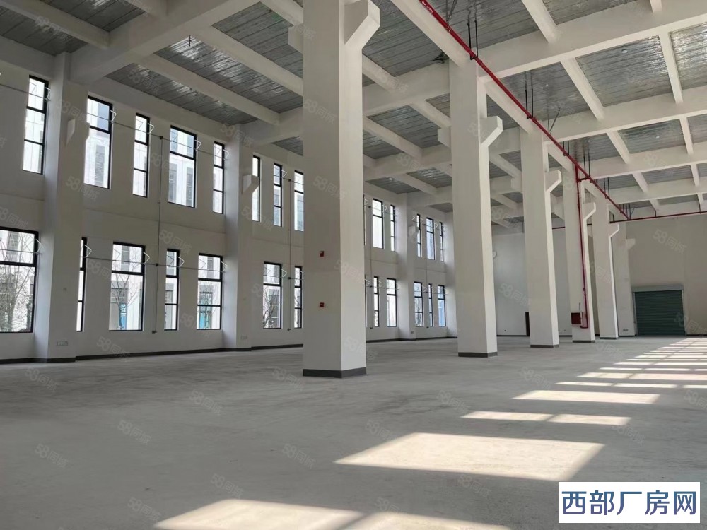 成都青羊周边工业园厂房出租，新建工业园，大环评已过，精品厂房，超大空地