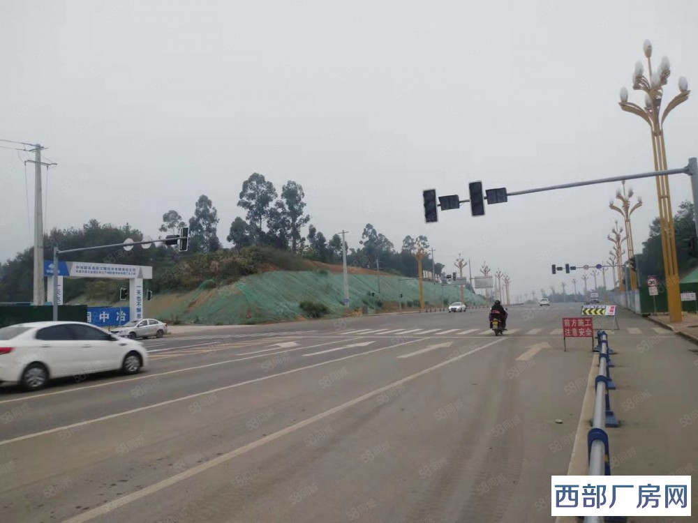 天府新区厂房出售 央地联合 眉山50年产权标准厂房，电子材料，汽车电子，光学仪器-四川成都厂房出售