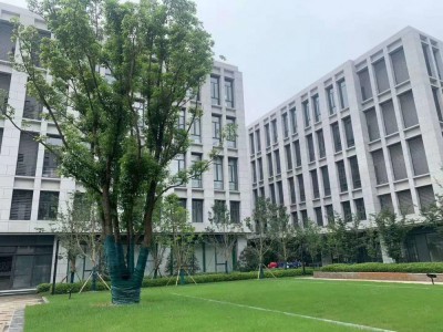 温江7.2米层高全新独栋厂房出售可研发办公生产,可办产权,成温邛高速,成新蒲高铁,地铁4号线