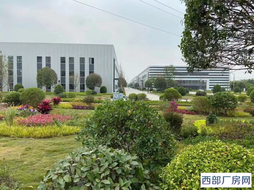 绵阳游仙工业园区厂房出租，标准钢结构厂房，无夹层，零公摊出租出售！多种用途，可办环评，独门独院，赠送院子-四川绵阳游仙区厂房出租