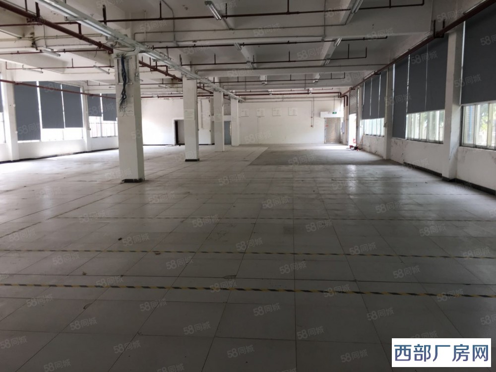 重庆江北寸滩五里坪1500平米一楼厂房出租，单面卸货，可以改造、办公配套、可作厂房、证件齐全-重庆市辖区江北区仓库出租