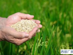 2022粮食仓储行业发展现状分析 全国粮食市场整体运行稳定