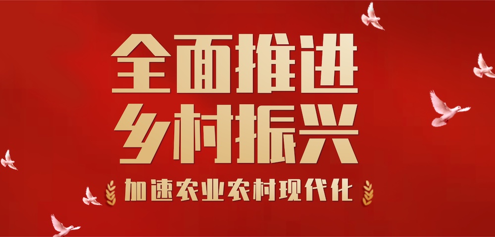 2023年以更强的食品加工业引领农业产业发展，促进乡村振兴。