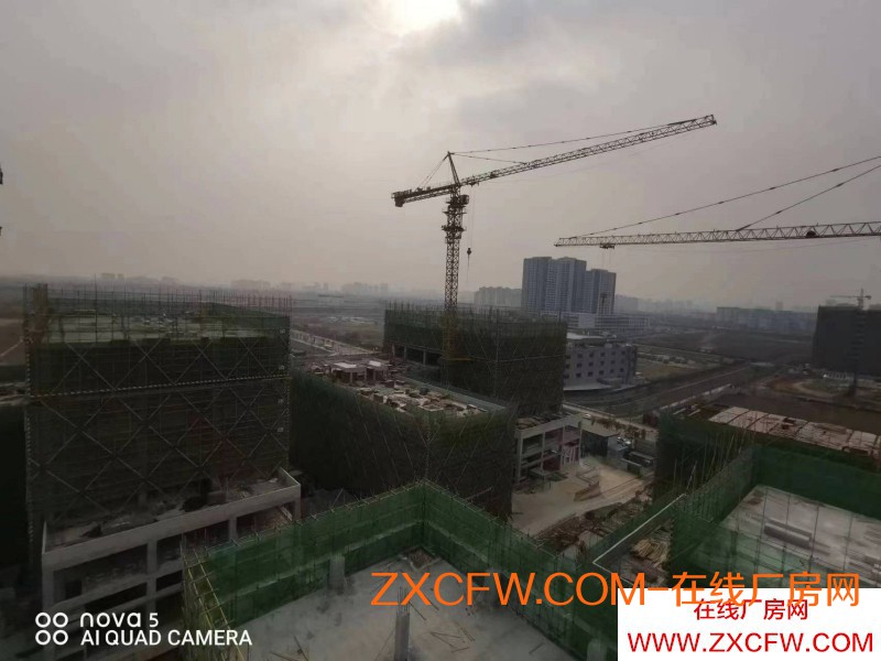 成都龙潭寺框架结构独栋厂房出租，50%补贴产业园园区招商-精品厂房，手慢无-四川厂房出租