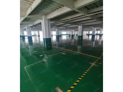全新标准钢结构厂房，无中介，房东直租 一楼2500平二楼1400平 仓库厂房
