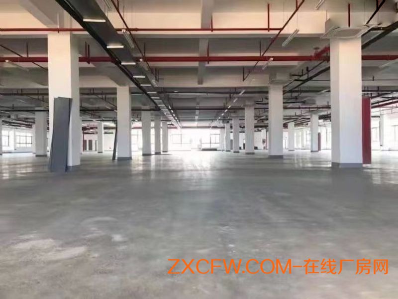 合肥新站区独栋厂房,全新标准化厂房仓库,水电气配套齐全,政策优惠,停车免费,无中介费,可办环评,可办公,可住宿-安徽厂房出租