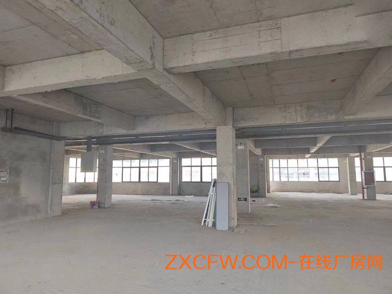 合肥包河区全新标准砖混结构厂房,仓库出租,自建园区闲置厂房、办公出租,可分租,有产权,独门独院厂房-安徽厂房出租