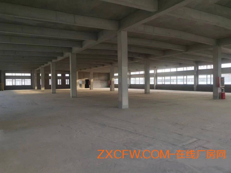 青岛李沧区全新独院多层厂房出租,央企国药集团，层高8.1米独栋厂房，首付2成，政策支持，适合生产、研发、办公-山东厂房出租