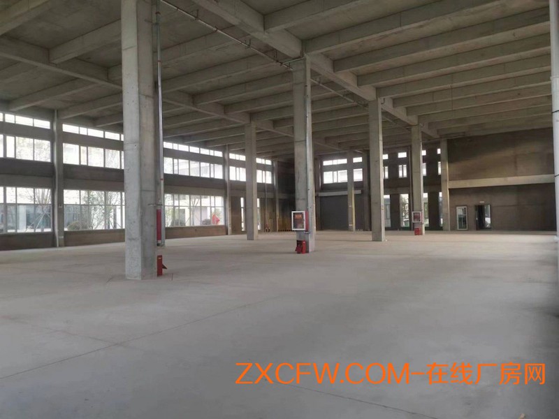 青岛李沧区全新独院多层厂房出租,央企国药集团，层高8.1米独栋厂房，首付2成，政策支持，适合生产、研发、办公-山东厂房出租
