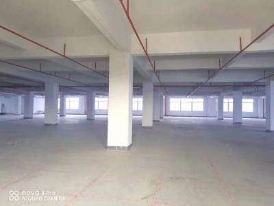 东莞凤岗浸校塘工业区4000平标准厂房出租,超大空地,东深二线边上,凤岗电商仓库出租,高速路口,交通方便