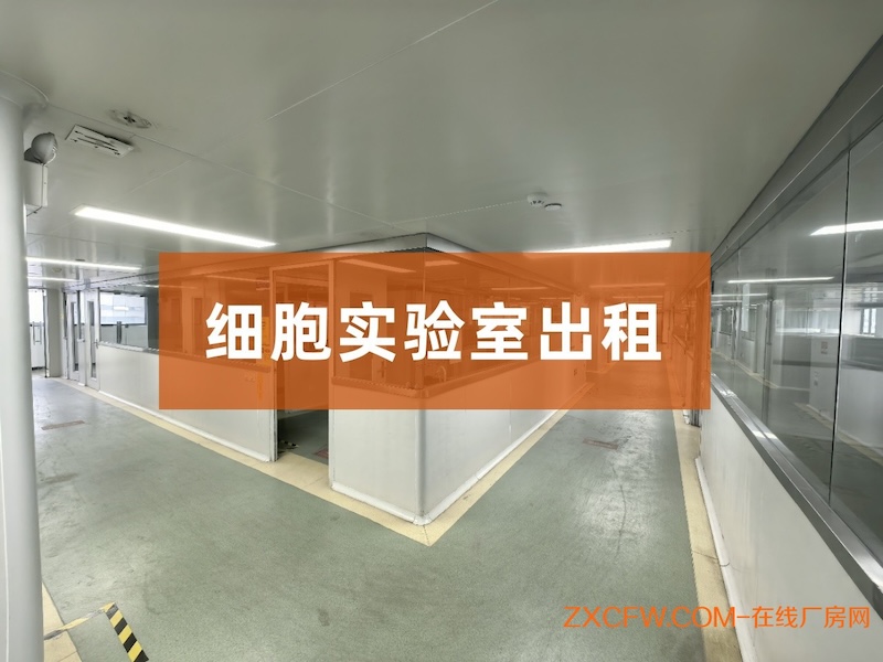 广东广州厂房出租-黄埔区科学城1250平方细胞实验室出租