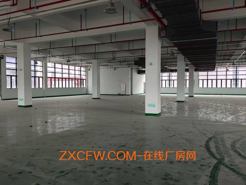 广东清远厂房出租-清远高新区红本独栋厂房8元出租，非常适合电子加工，电商仓库，智能制造，可分租
