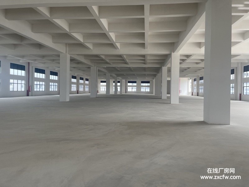 广东江门厂房出租-独门独院厂房出租，有排污官网可以直排，厂房形象好 招工方便 周围配套齐全