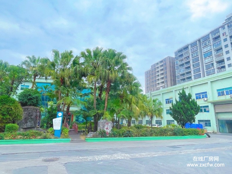 东莞厂房出租-东莞塘厦出租独立花园式厂房，成熟商业圈，交通便，租金优惠