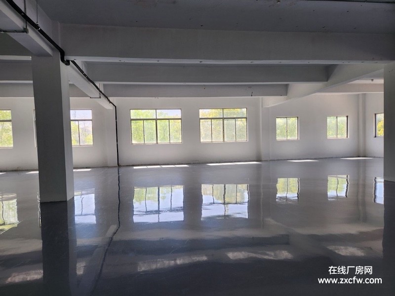 江苏苏州厂房出租-园区厂房一百平起租 位置交通便利 多部3T电梯进出方便