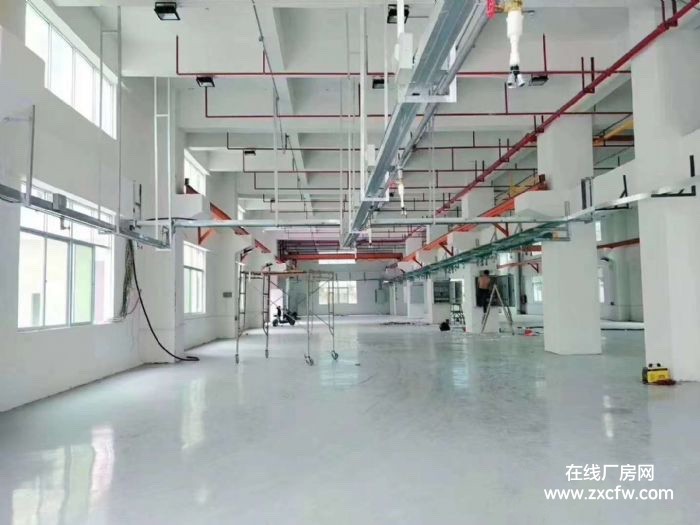 东莞厂房出租-一楼厂房出租2100平米,高7米 凤岗竹尾田麻埔坳工业区