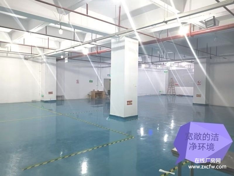 广东广州厂房出租-广州黄埔区医疗级无尘车间带设备转让标准厂出租