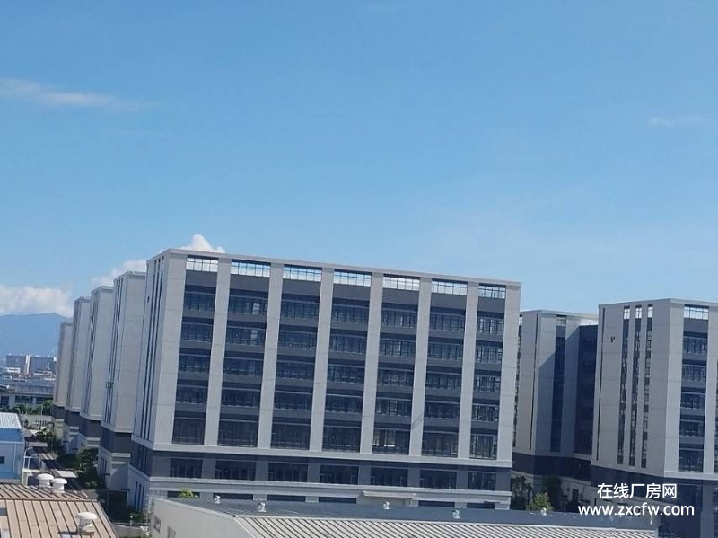厦门厂房出租-厦门翔安区全新制造业厂房出租出售 业主直租无中介费
