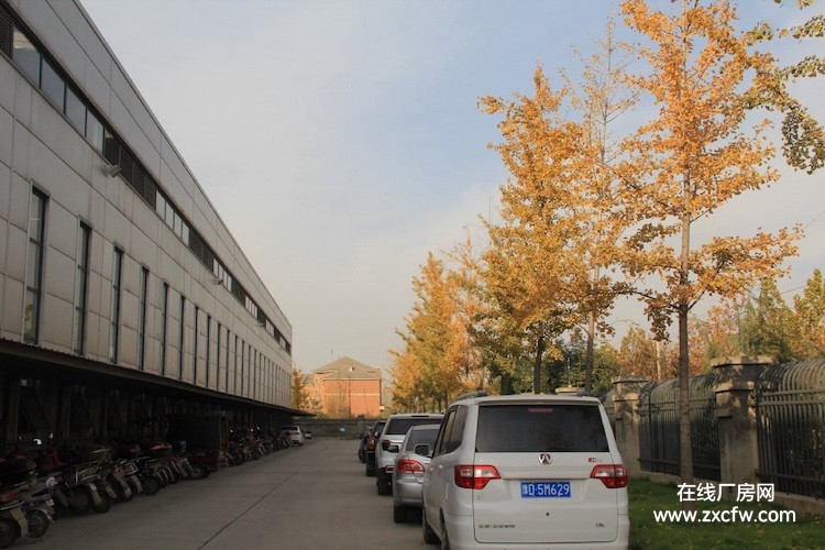 河南平顶山厂房出租-平顶山钢结构厂房出租出售，可用于桥梁物资加工