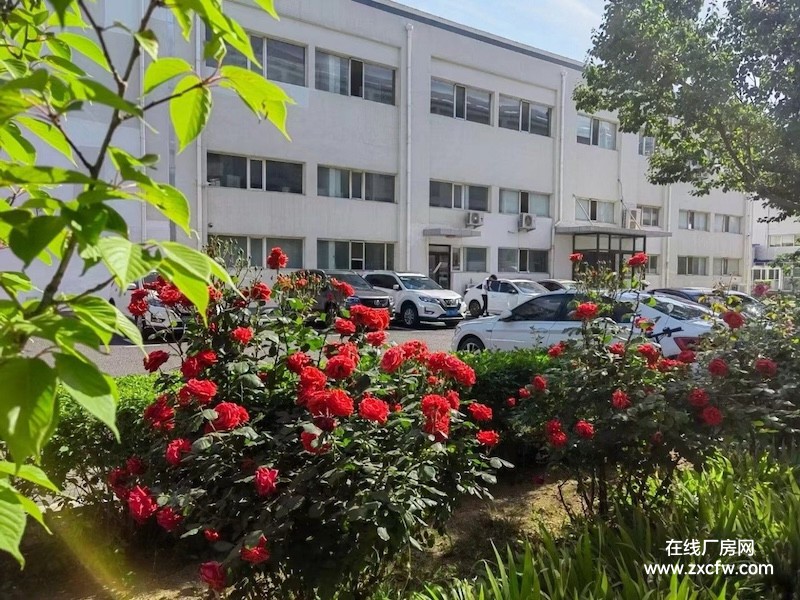 辽宁大连市厂房出租-大连开发区双D港4271平框架结构厂房出租