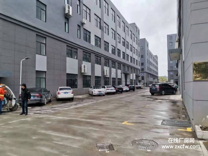 浙江嘉兴厂房出租-嘉兴高照街道2000平米厂房仓库出租 独门独院有电梯