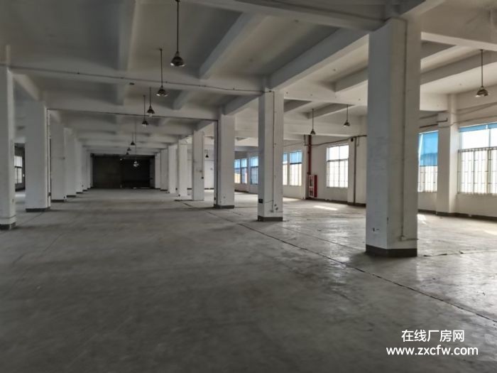 浙江嘉兴厂房出租-嘉兴高照街道加创路2000平米标准厂房出租