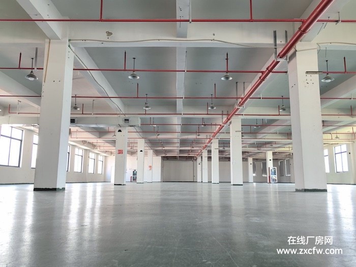 浙江台州厂房出租-出租临海市4030㎡大洋厂房独门独院带电梯