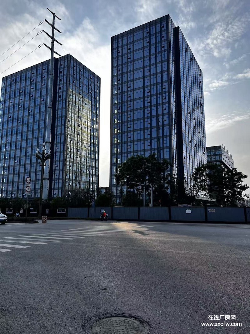 广安厂房出租-奥体中心对面，标准厂房8000平招租，可以整租可分租