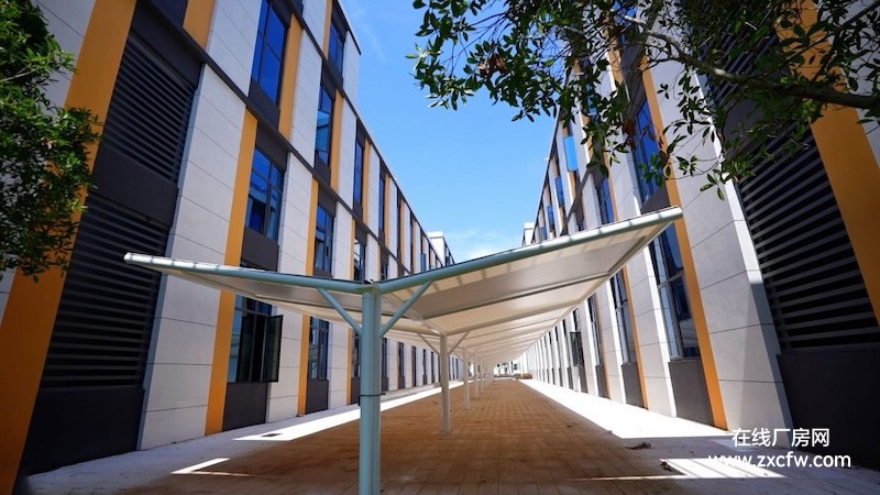 四川遂宁厂房出租-成渝经济圈中心城市41000㎡标准独院厂房出租 享1-3年免租期