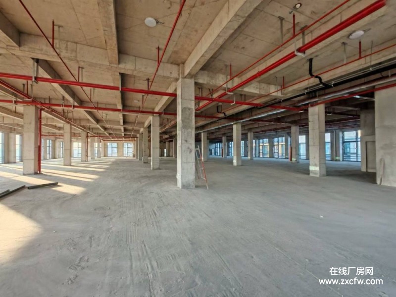 江苏苏州厂房出售-苏州新区科技城一楼1600平现房出售 独立双证，20%首付