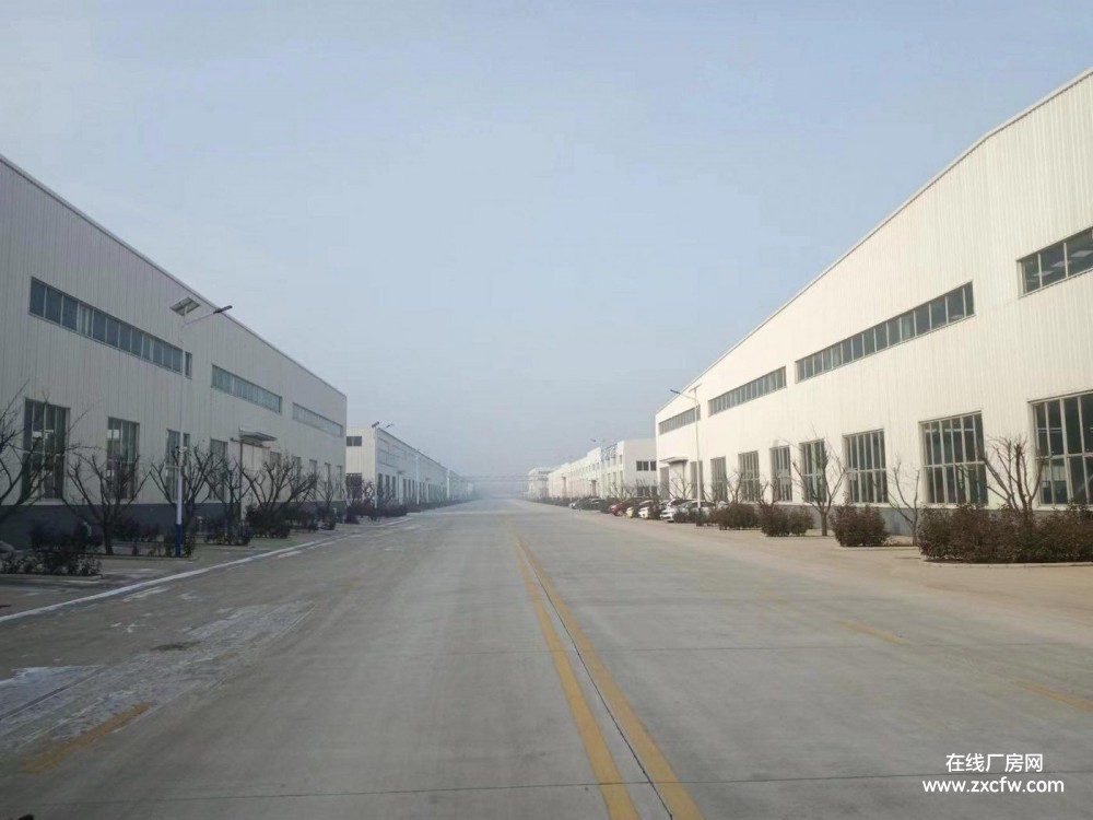 山东青岛厂房出租-青岛胶州厂房出租，单层钢结构厂房出租