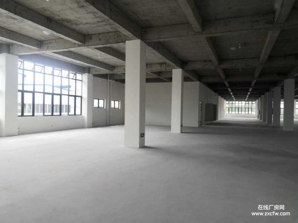 四川成都厂房出租-天府新区5000平全新独栋框架结构厂房出租 赠送20%使用面积