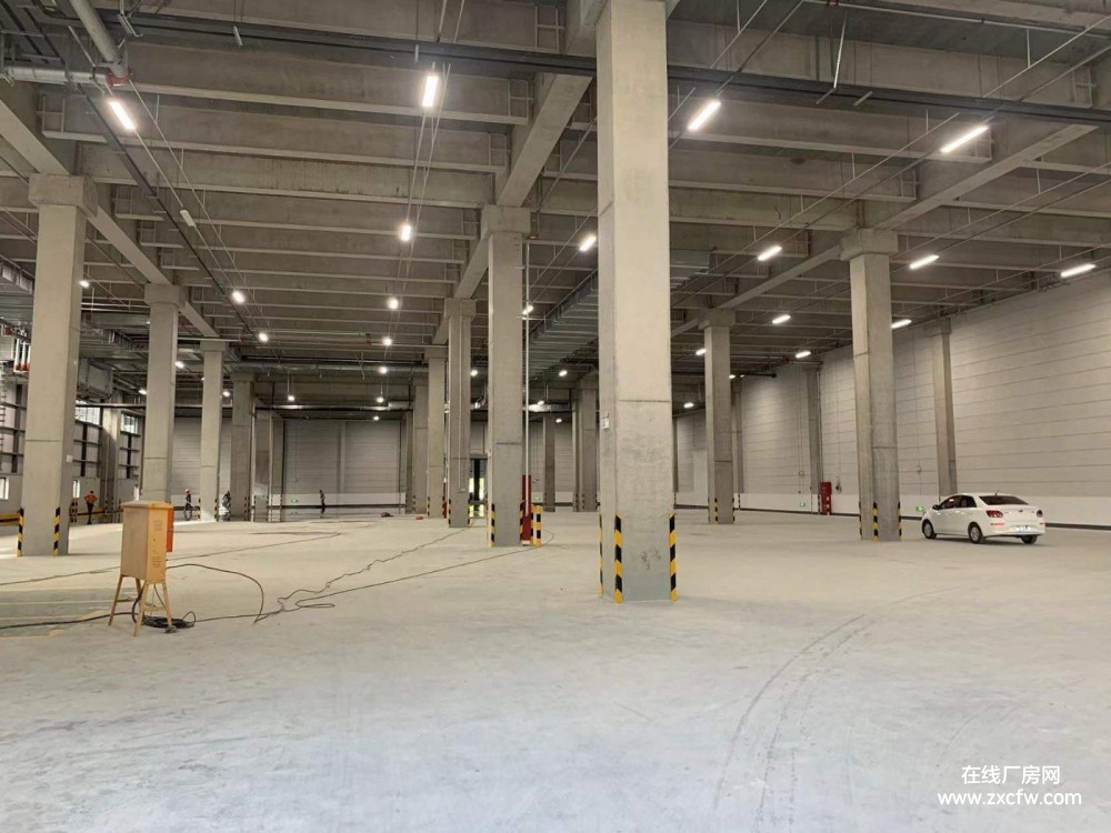 上海金山区仓库出租-金山区3000平-120000平单层厂房/仓库出租 有月台 丙二类消防