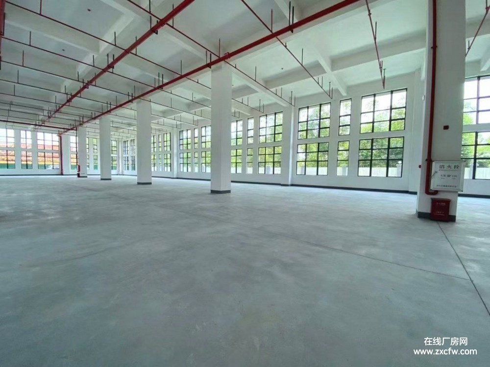 广东清远厂房出租-清远清城高新区2000㎡全新砖混结构厂房租赁 可分租有电梯