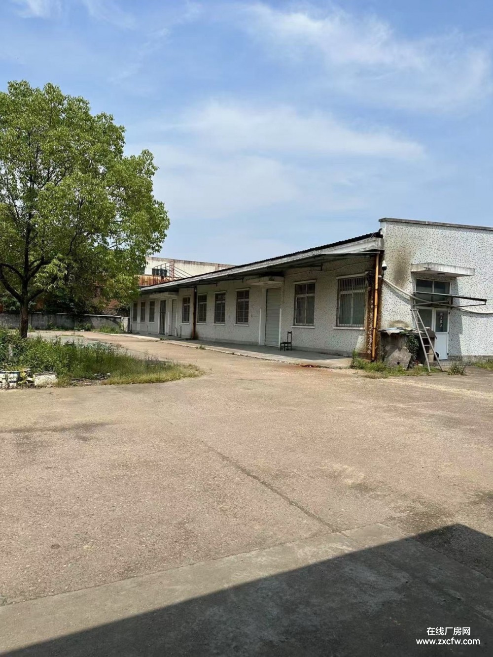 衢州厂房出租-衢州东港二路3055㎡当层厂房出租 交通便利可办公
