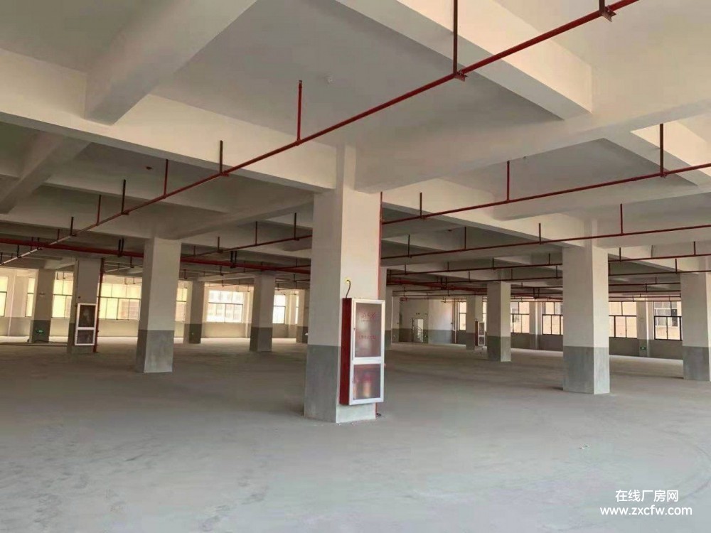 金华厂房出租-义乌工业园80000㎡标准钢结构厂房仓库出租 可分租可整租价格实惠带动力电