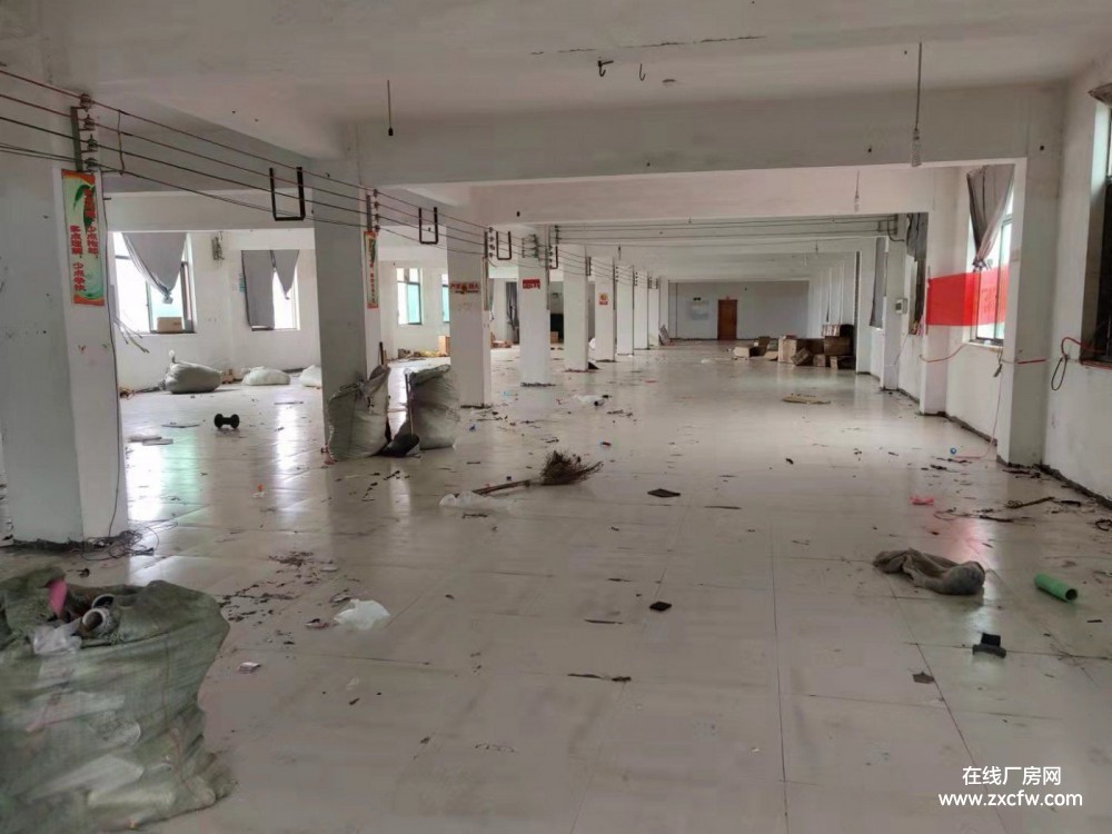 金华厂房出租-金华义乌100000㎡标准钢结构厂房仓库出租 行业不限可办公可住宿带动力电