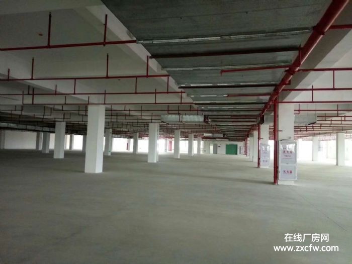 厦门厂房出租-马巷标500到10000平工业园厂房出租全新厂房有空地有电梯