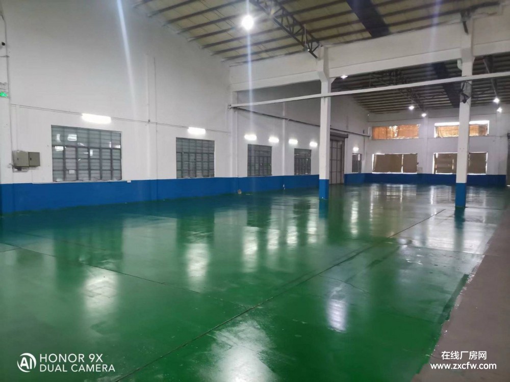 广东广州仓库出租-广州白云3000㎡单层仓库托管出租 提供换箱打托服务