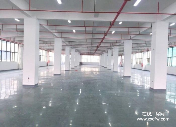 广东广州仓库出租-白云江高一楼仓库1550平仓库出租 可办证0公摊超大空地大货车出入方便