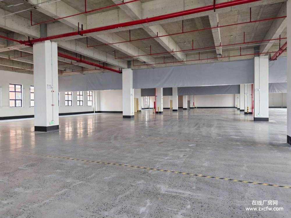 广东广州仓库出租-白云江高60000㎡高​‌‌台平仓仓库出租可做轻加工电商 水电气齐全可办公住宿