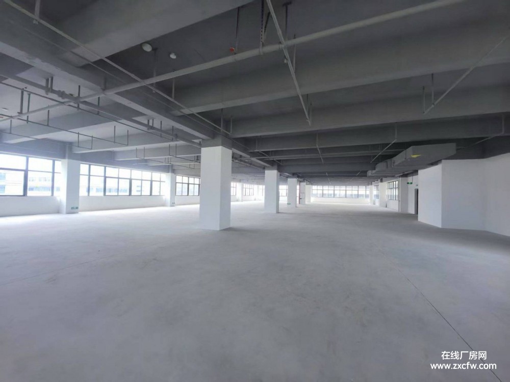 黄埔夏园南湾10000㎡独门独院厂房招租 房东直租可办公研发有电梯-广东厂房出租