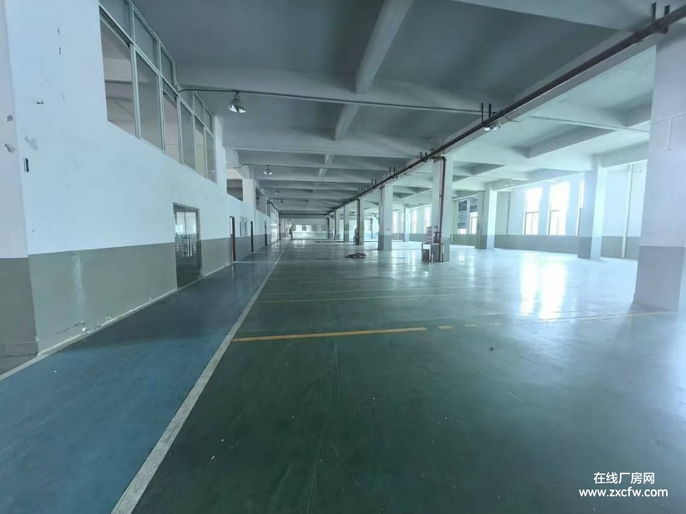 黄埔区云博工业区6000平独标准独门独院厂房出租 有电梯带动力电-广东厂房出租