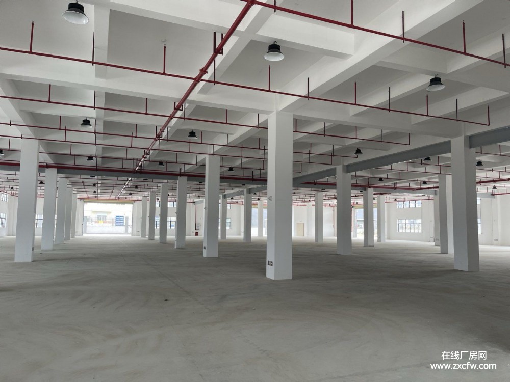 广东阳江厂房出租-阳江江城区1200㎡小面积钢结构厂房出租 个人厂房房东直租无中介费