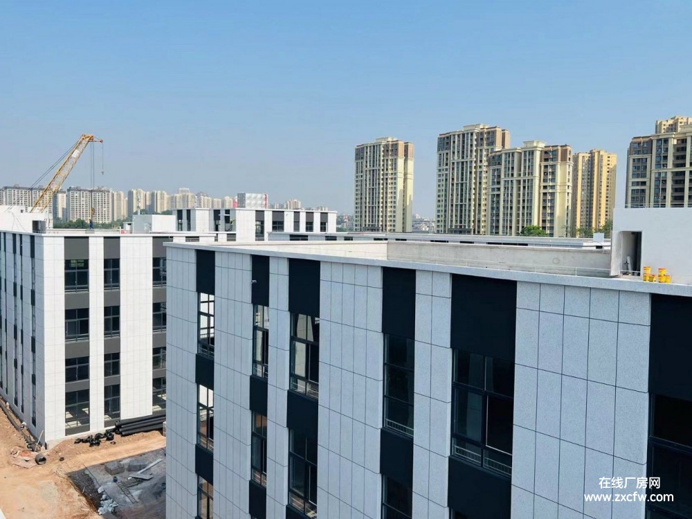 重庆市辖区厂房出租-重庆沙坪坝九龙坡核心区1600㎡独栋框架结构厂房出租出售 交通便利