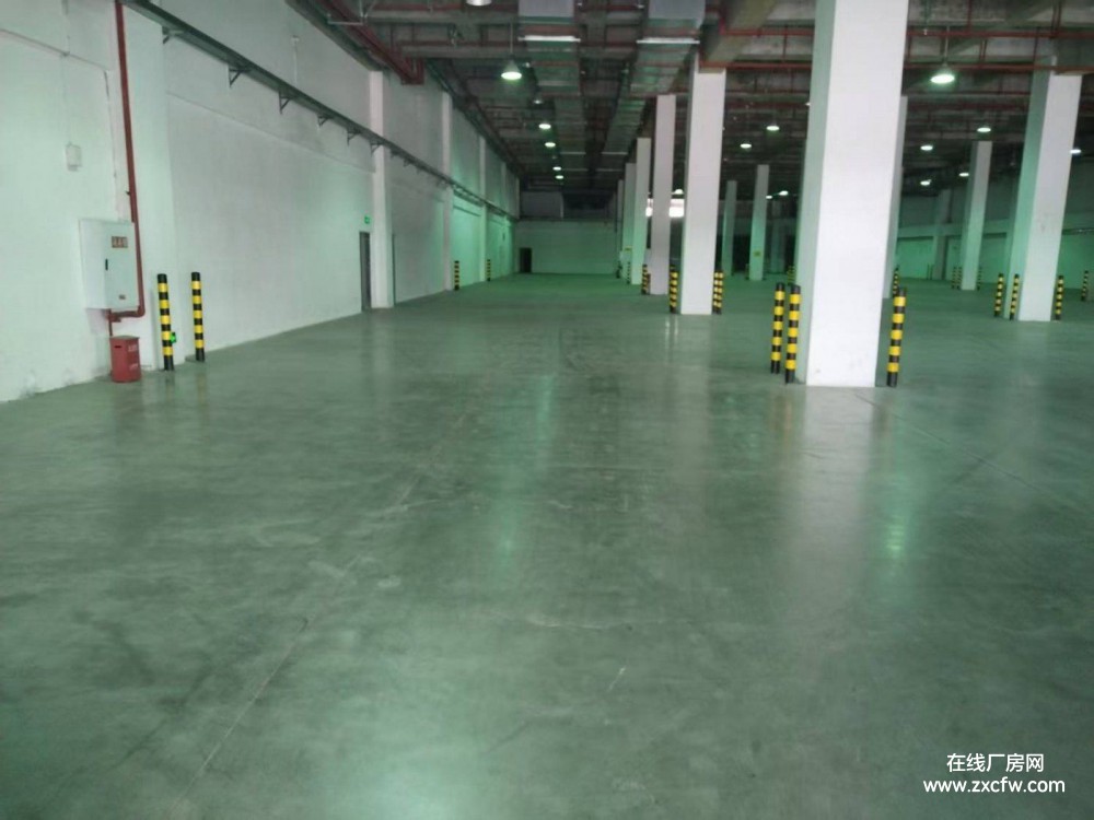 沙坪坝土主物流园4000㎡标准独院厂房仓库出租 交通方便价格面议-重庆厂房出租