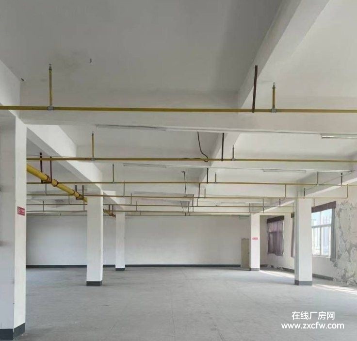 黄冈厂房出租-黄冈2500平带电梯带行车的厂房出租 独门独院可办公可生产支持分租自由组合