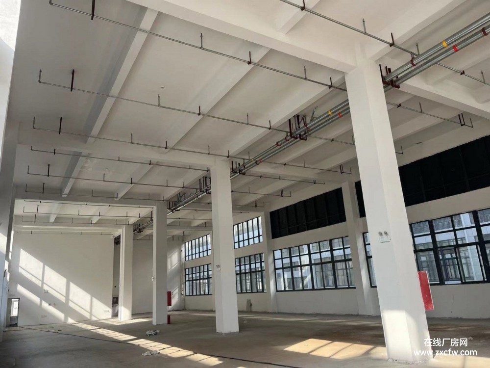 江苏南通厂房出租-南通经开区1000㎡轻污染行业厂房出租 小面积厂房出租有电梯可分租