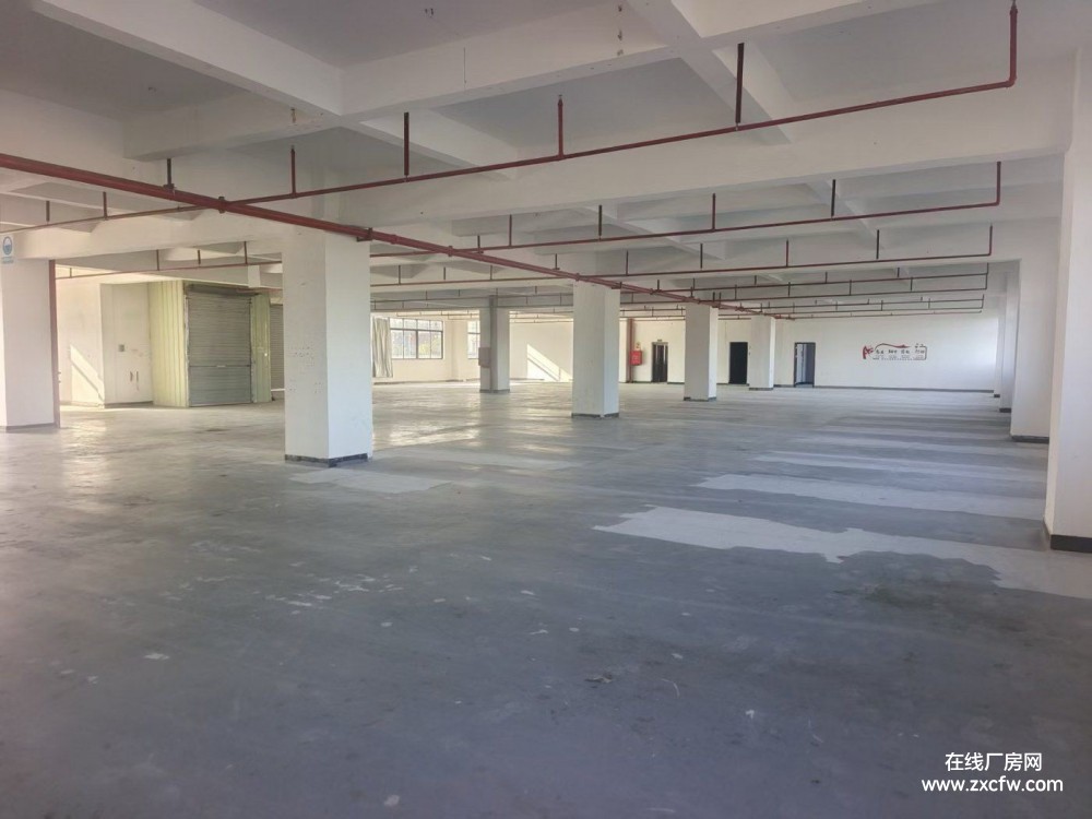 东莞厂房出租-东莞凤岗区1200平厂房出租，适合皮具、制衣、电子组装、五金加工可办公有电梯