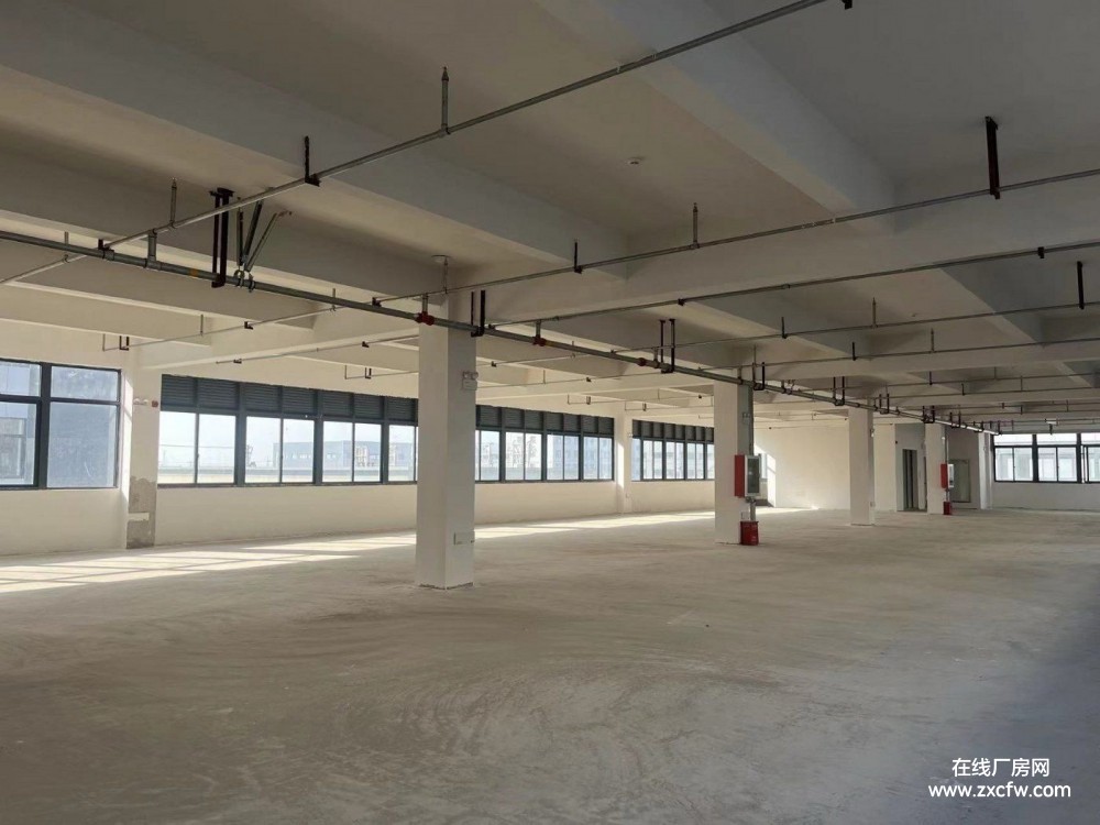 江苏南通厂房出租-南通可做轻加工仓储物流电商直播的厂房出租 面积1000-2000平